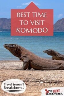 Best Time to Visit Komodo Island Pinterest image