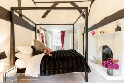 Five Star Home with Four Themed Bedrooms in Dorney