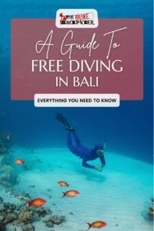 Freediving in Bali Pinterest image