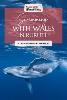 Swimming with whales in Rurutu Pinterest image