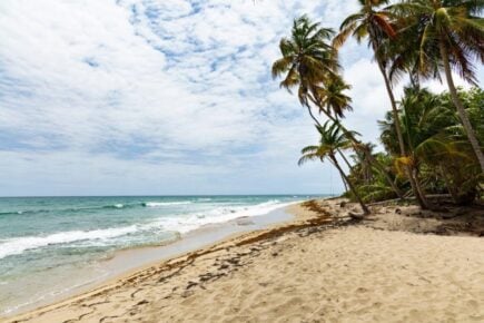 waves crashing toward palm trees on a beach as seen while staying in puerto rico